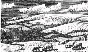 wood-engraving original print: The South Country